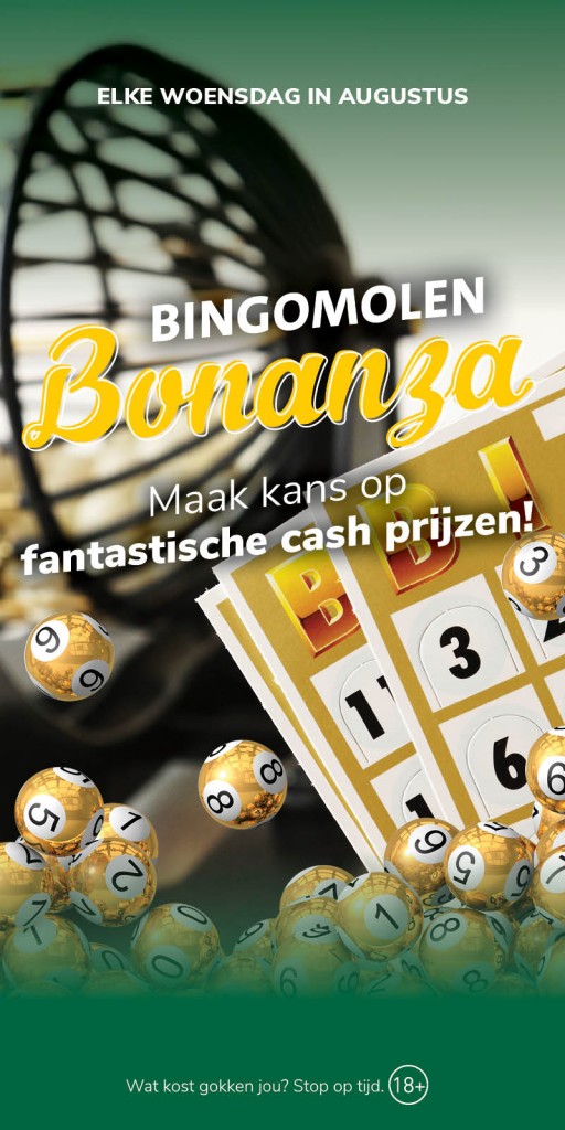 FC_DB Hinthamereinde_WEB_Bingomolen Bonanza.jpg
